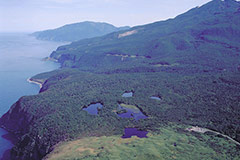 시레토코반도의 세계자연유산