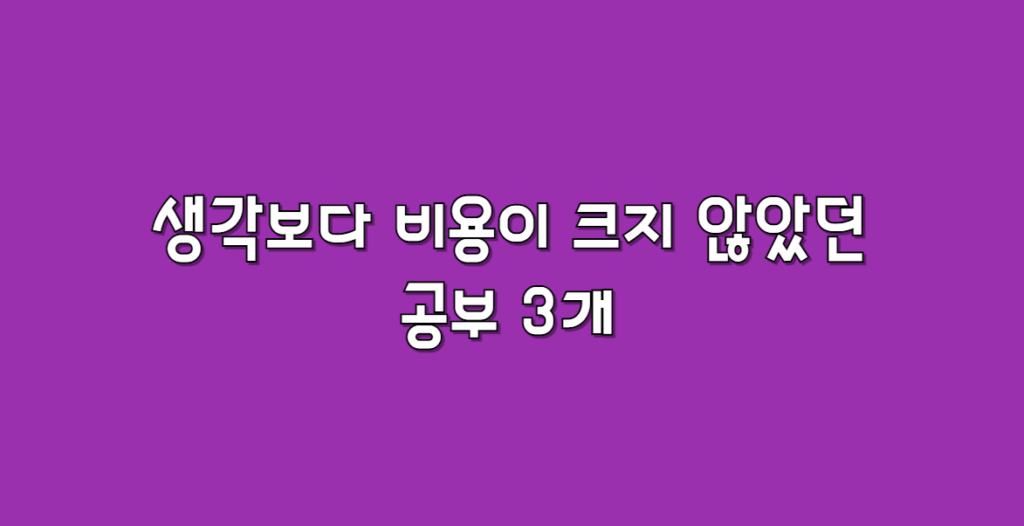 공부 비용